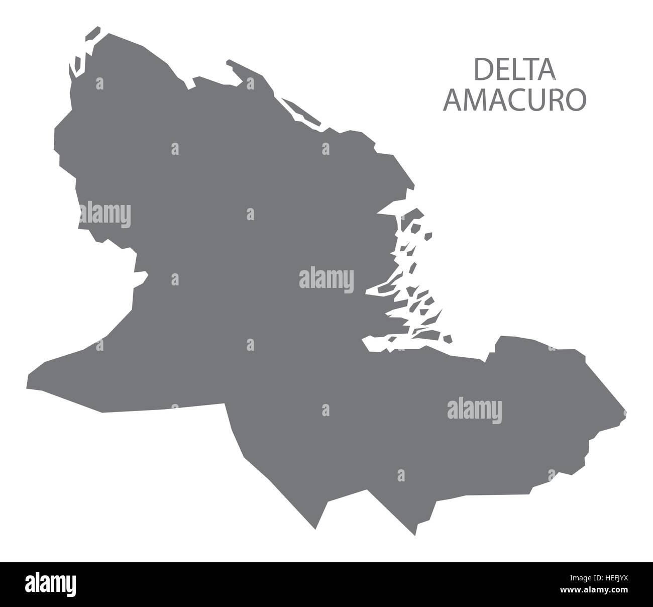 Delta Amacuro Venezuela Map in grey Stock Vector