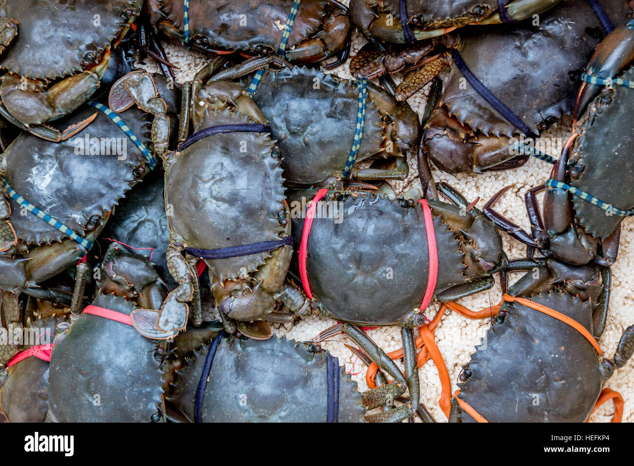 Fresh raw crabs Stock Photo Alamy