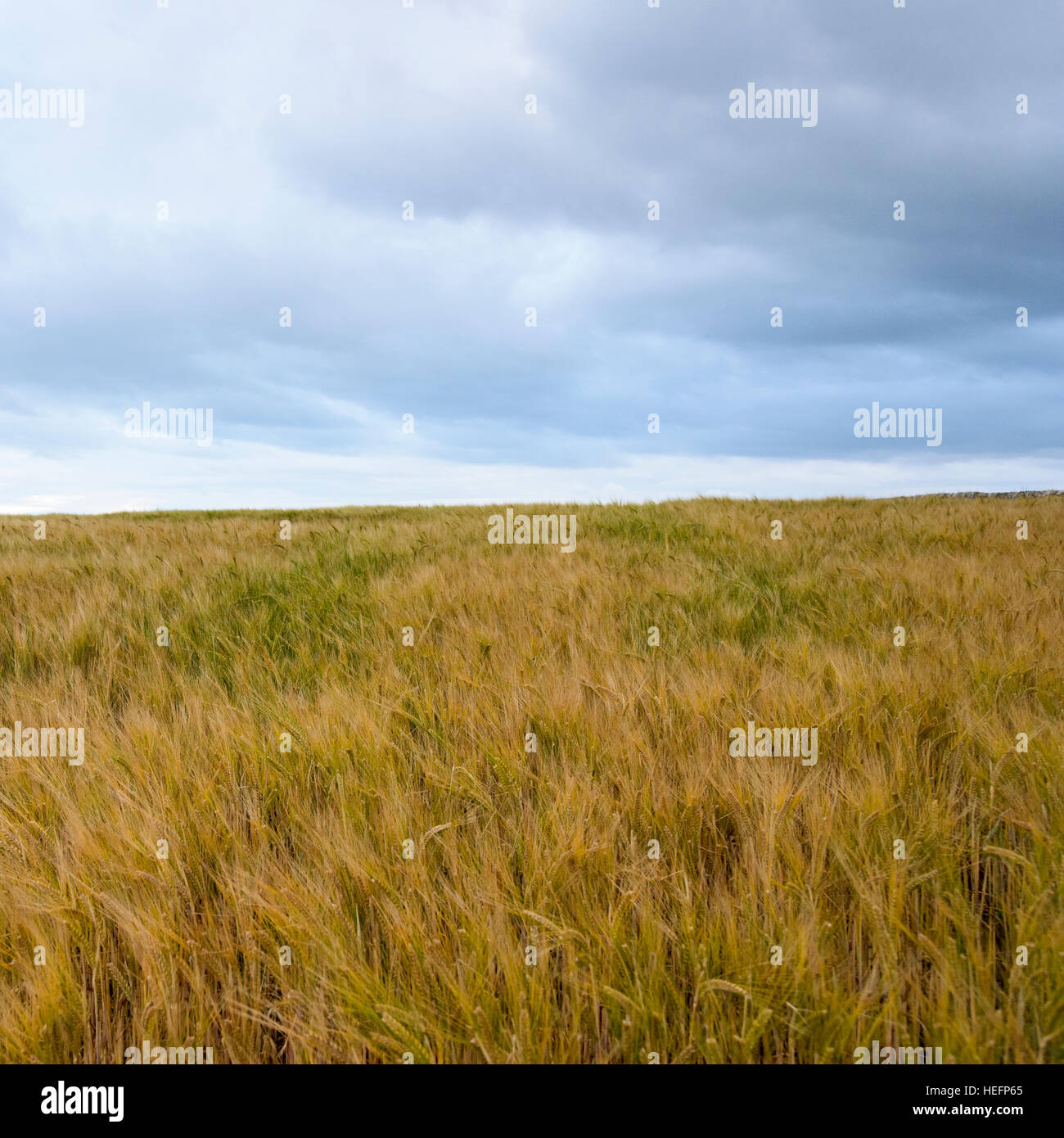 Boarhills, Fife, Scotland Stock Photo Alamy