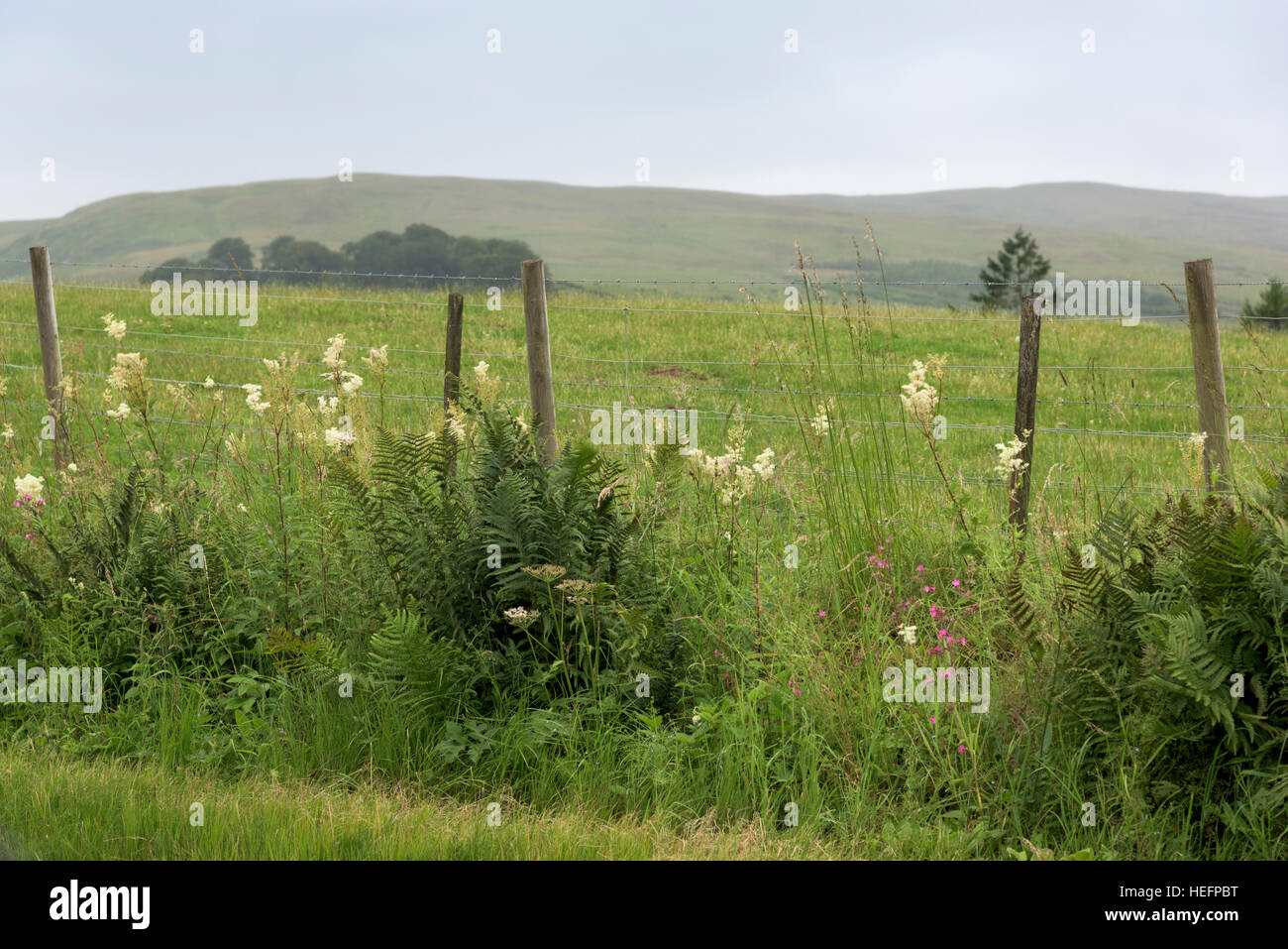 Auchterarder, Perth and Kinross, Scotland Stock Photo Alamy