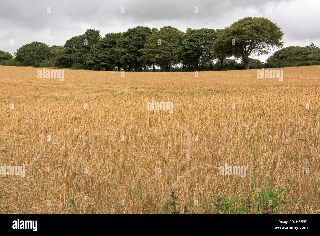 Strathmiglo, Fife, Scotland Stock Photo Alamy