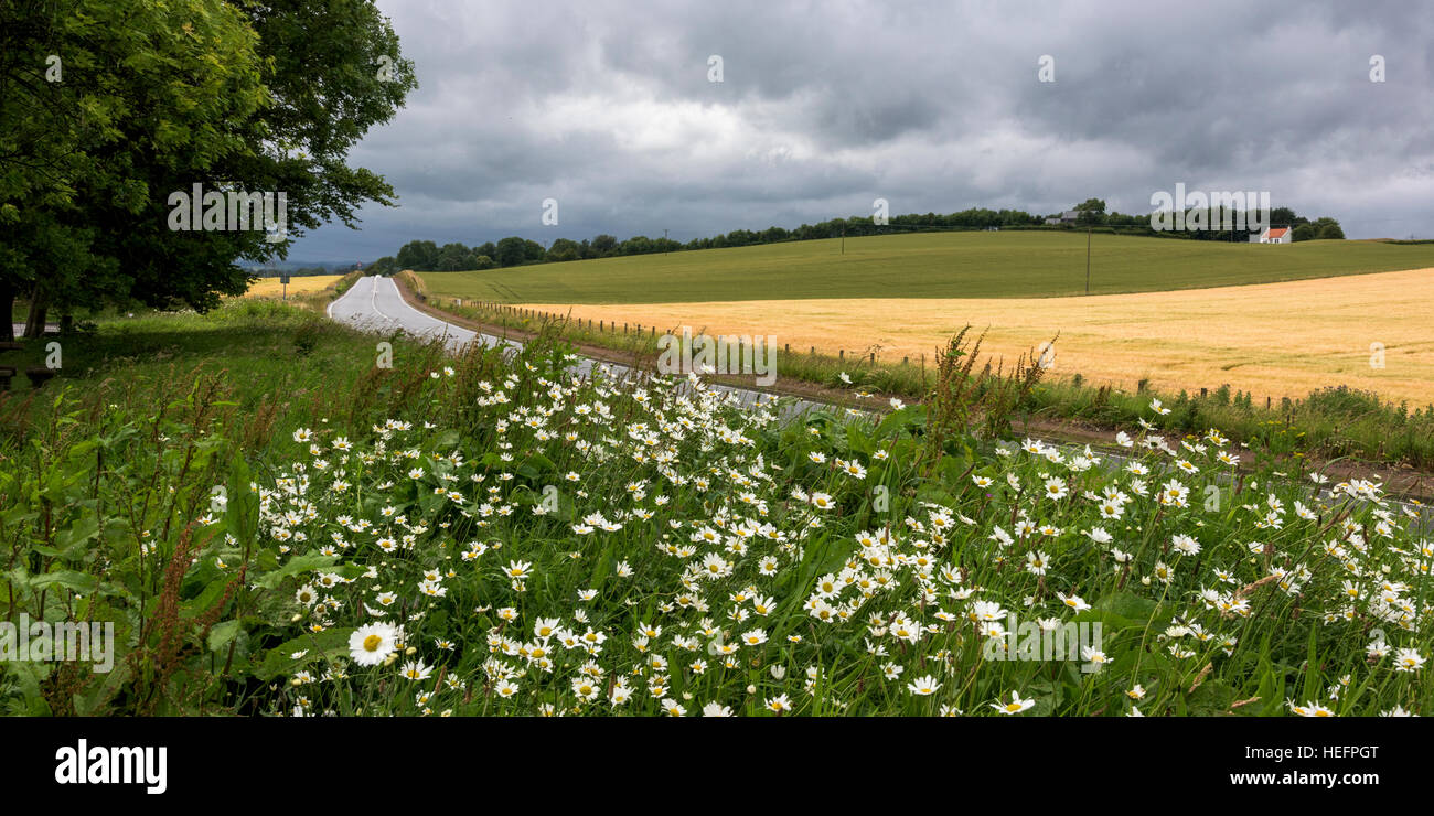 Auchtermuchty, Fife, Scotland Stock Photo Alamy
