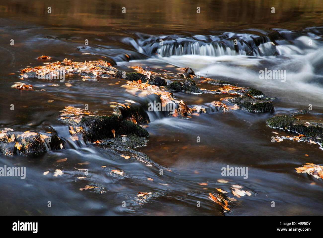 Stainforth Force Waterfalls, near Settle, North Yorkshire Dales Stock