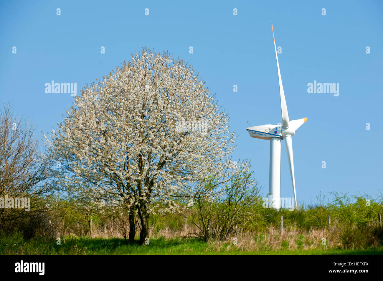 Deutschland, Nordrhein-Westfalen, Kreis Euskirchen, bei Nettersheim, Stock Photo