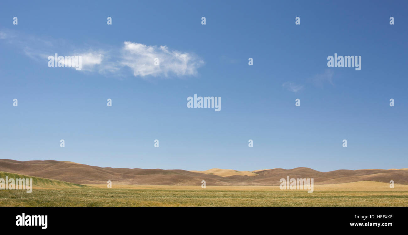 Open plains and blue sky, California Stock Photo