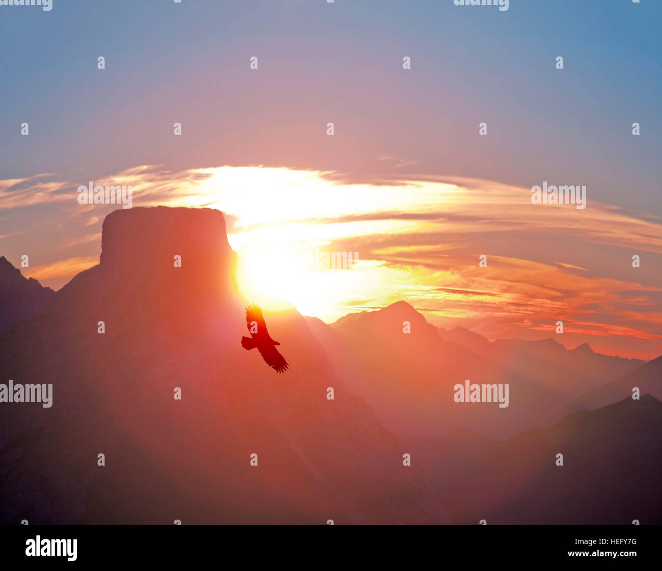 Mountain panorama with sundown and eagle Stock Photo