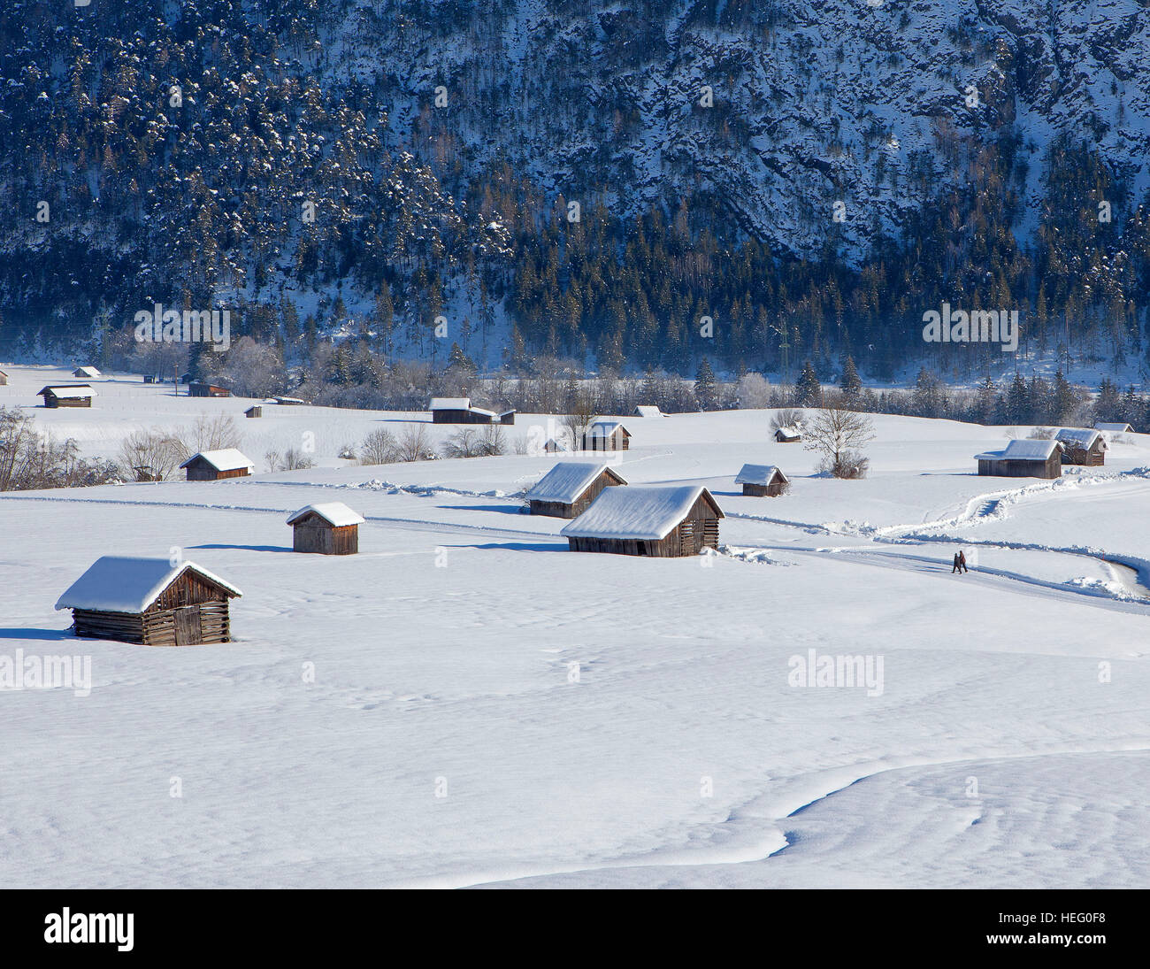 Austria, Tyrol, Gurgltal nearby Imst, winter walk Stock Photo