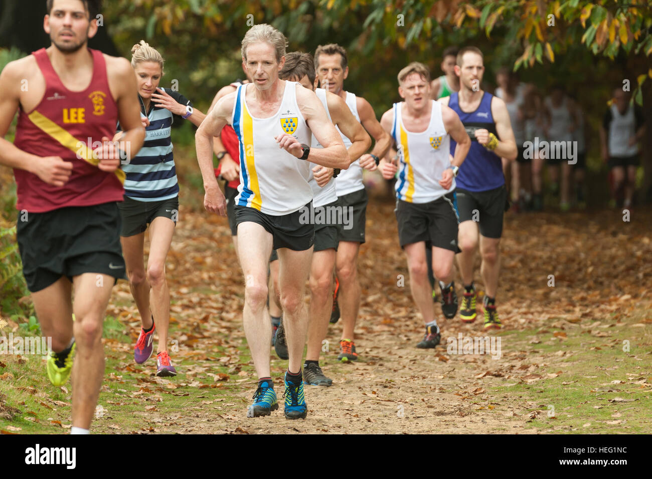 First race of Season Kent fitness running league race in Knole Park massive field cross country 561 runners teams Stock Photo