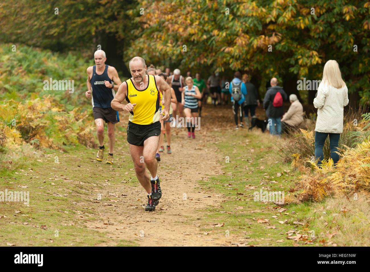 First race of Season Kent fitness running league race in Knole Park massive field cross country 561 runners teams Stock Photo