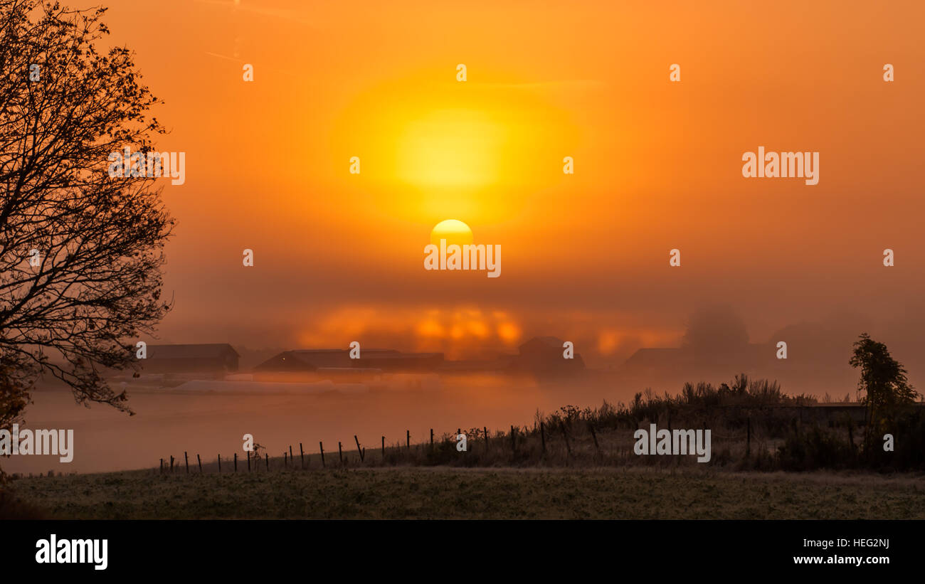 Sunrise over the farm in a foggy morning in Uppland, Sweden Stock Photo