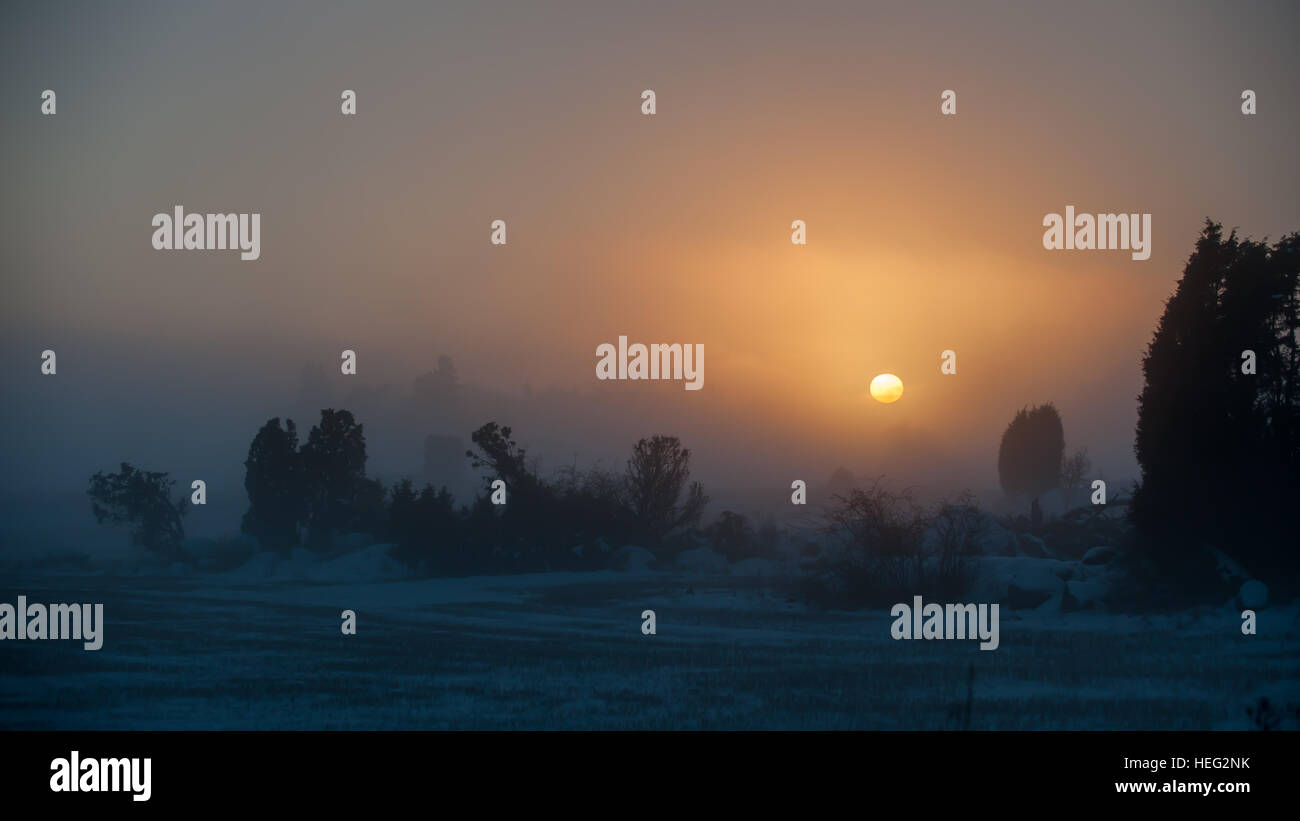 Sunset in the foggy winter evening in Uppland, Sweden Stock Photo