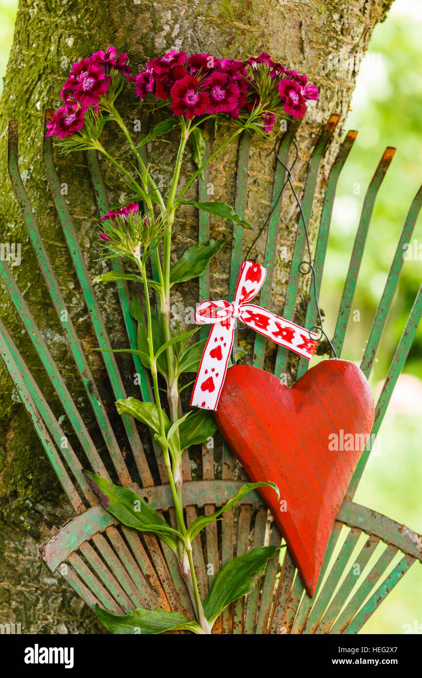 Sweet William at a rake with wooden heart Stock Photo - Alamy