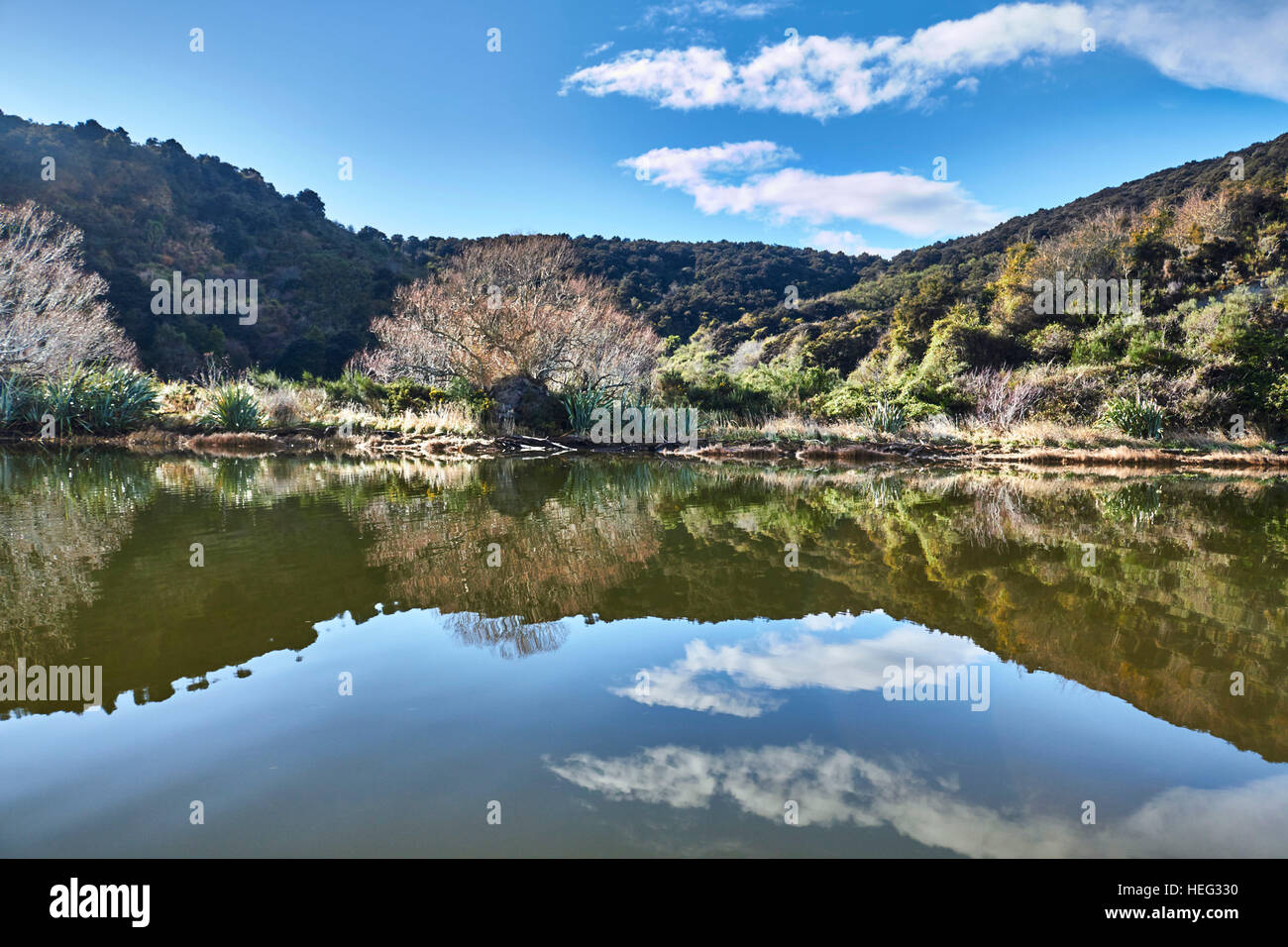 Taieri mouth hires stock photography and images Alamy
