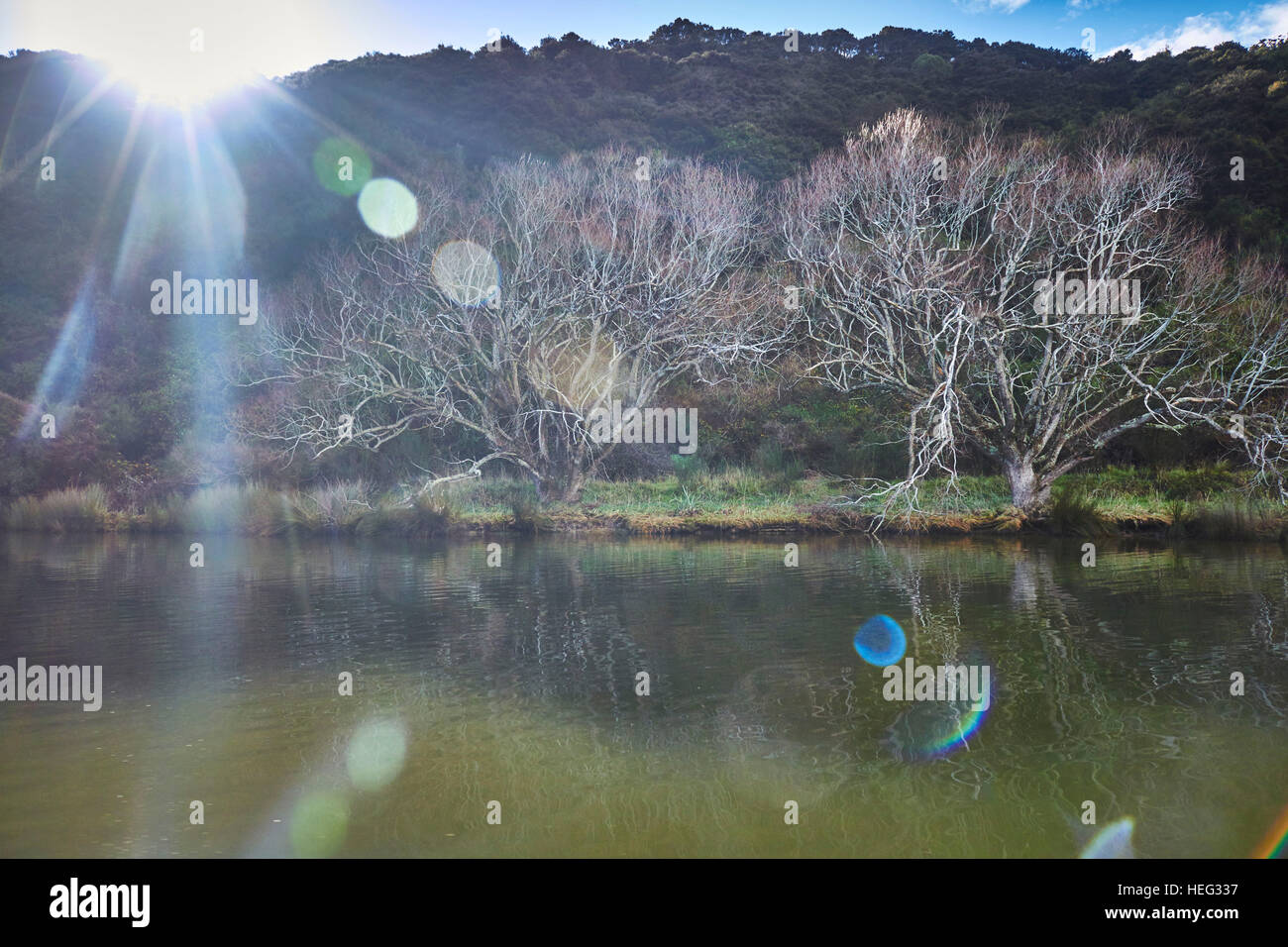 Taieri mouth hires stock photography and images Alamy