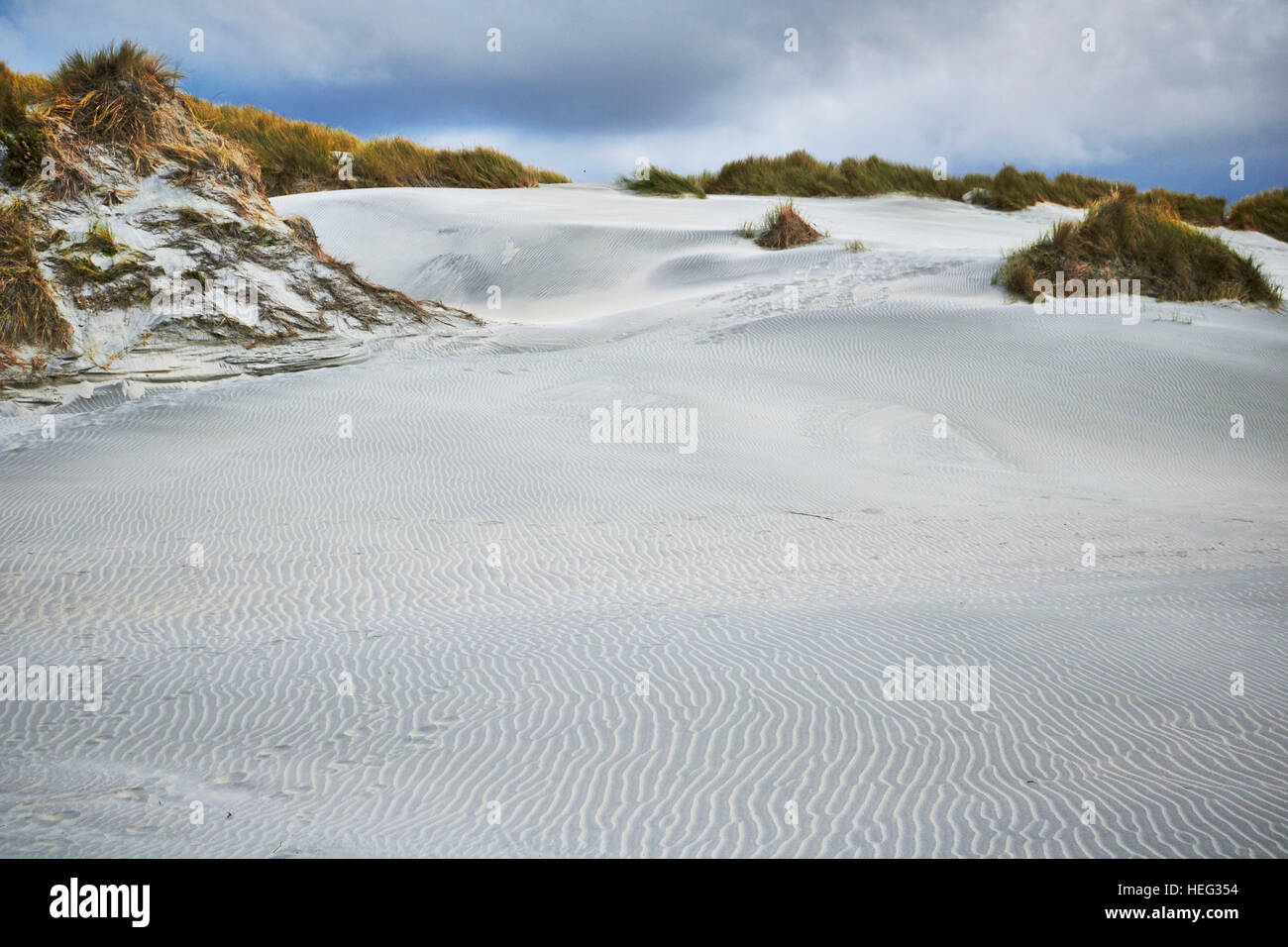 New Zealand, south island, Wharariki Beach, dune grass and Sand in soft light, Stock Photo