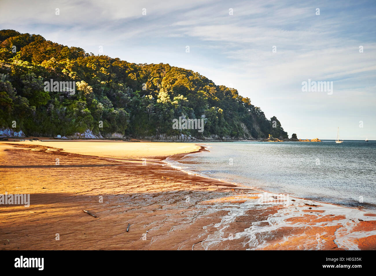 New Zealand, south island, Abel Tasman, Totaranui, golden Sand, sandy beach, sea, wood Stock Photo
