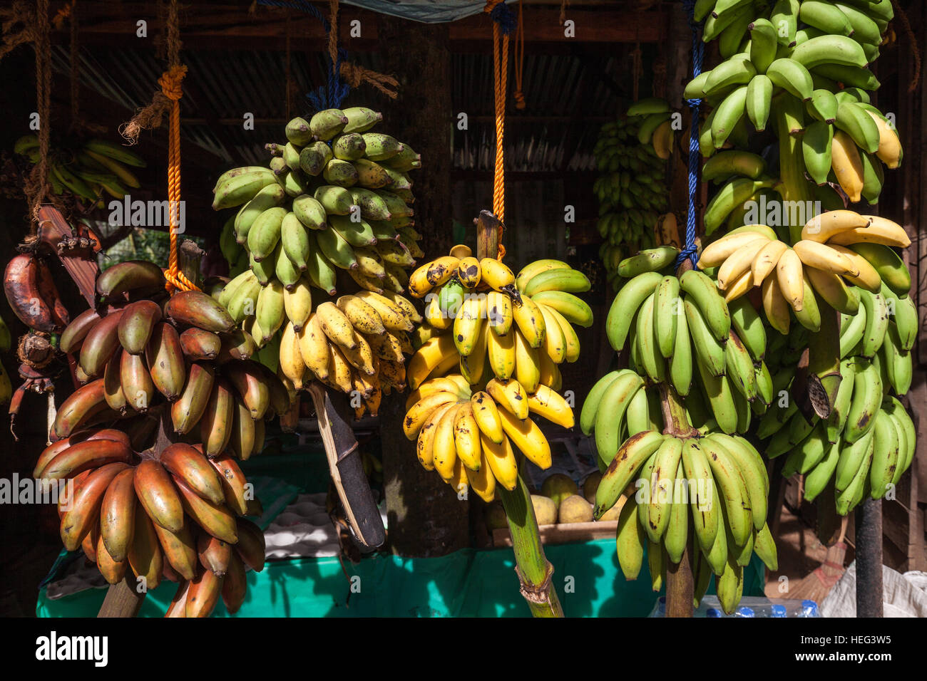Fruit stall, bananas, Central Province, Sri Lanka Stock Photo