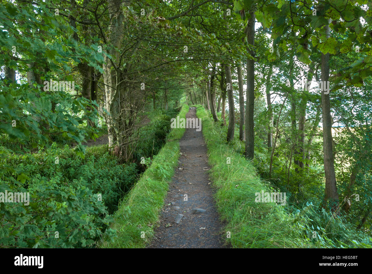 Hadrian's Wall in Northern England Stock Photo Alamy