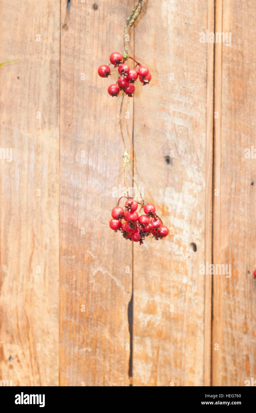 Red berries in front of wooden ground, Christmas Stock Photo