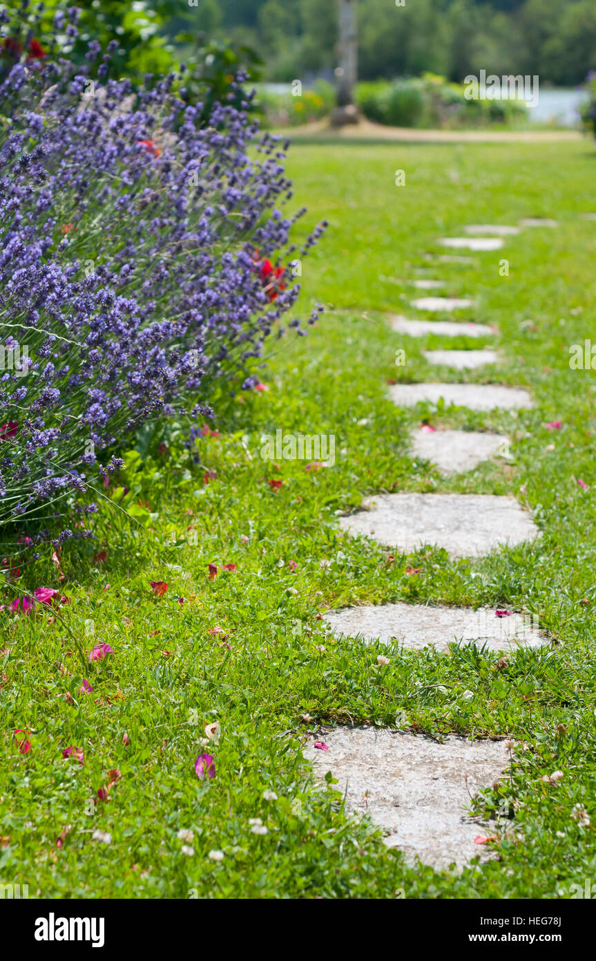 Stepping stones in the garden Stock Photo