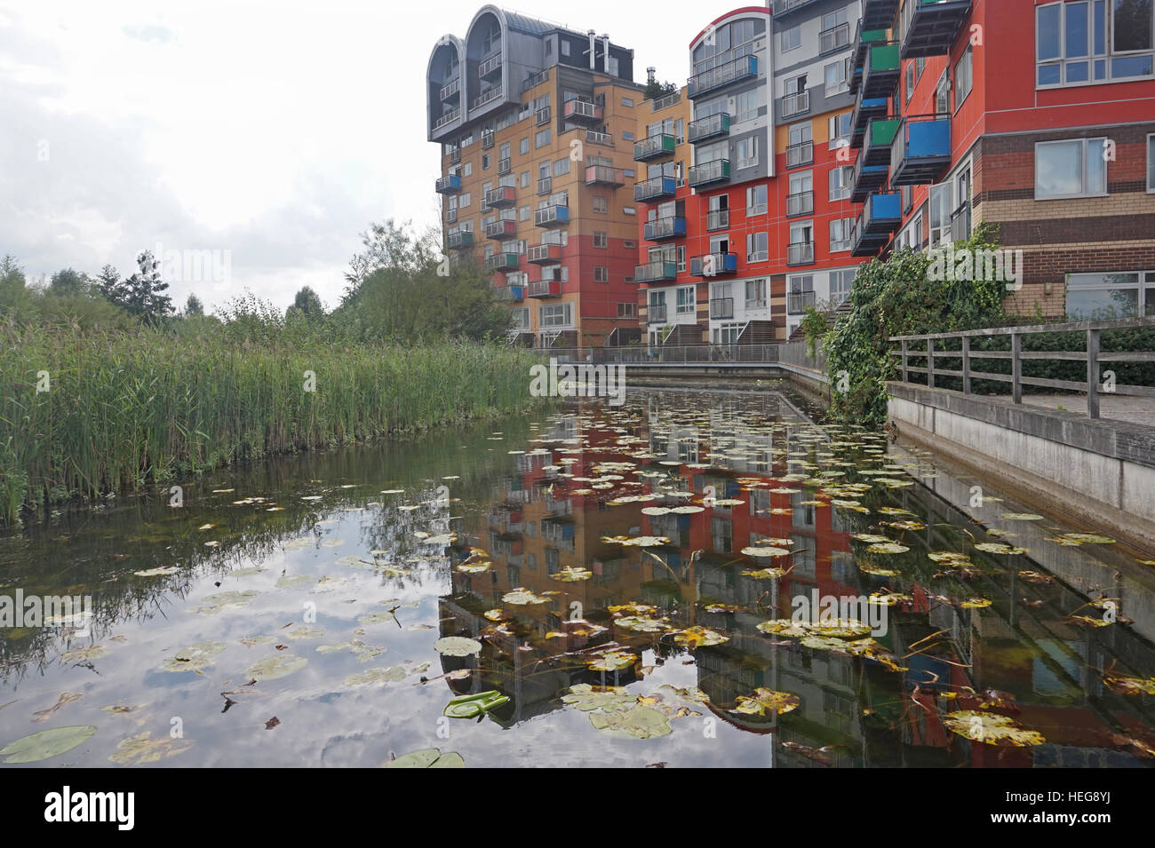 Greenwich peninsula ecology park hires stock photography and images