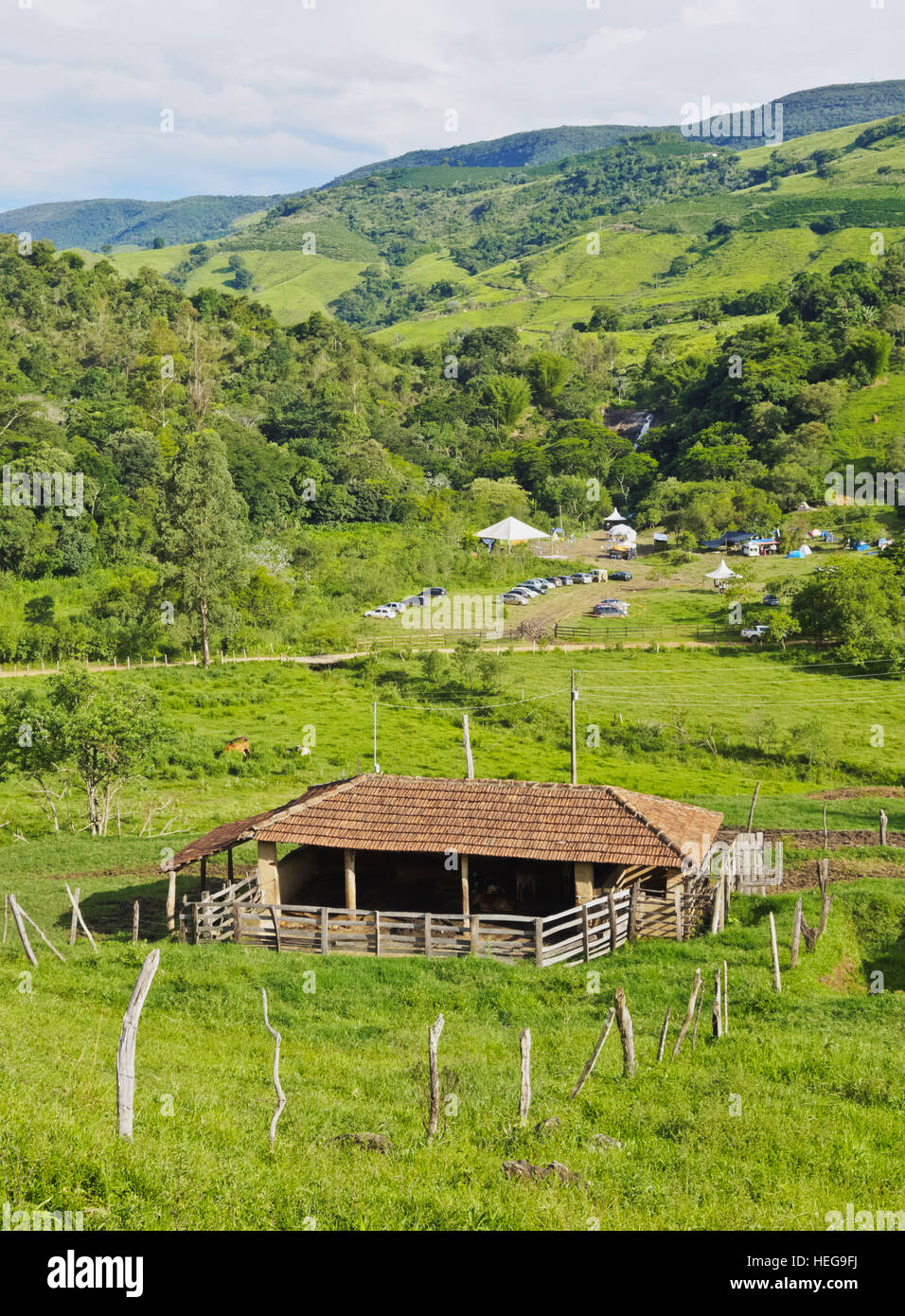Heliodora Minas Gerais fonte: c8.alamy.com Fonte: c8.alamy.com