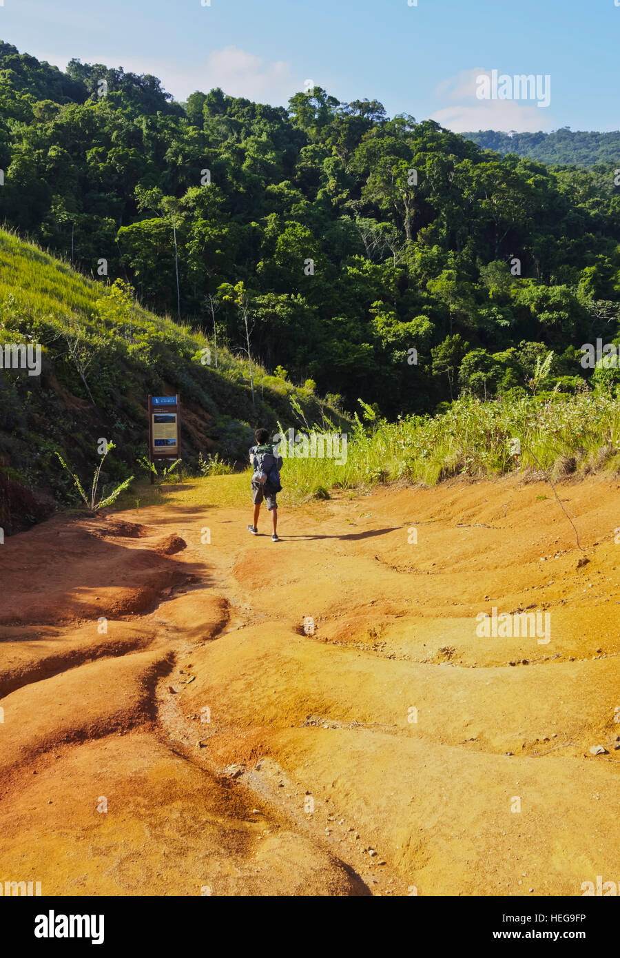 Brazil, State of Sao Paulo, Ilhabela Island, View of the trail leading to Bonete. Stock Photo