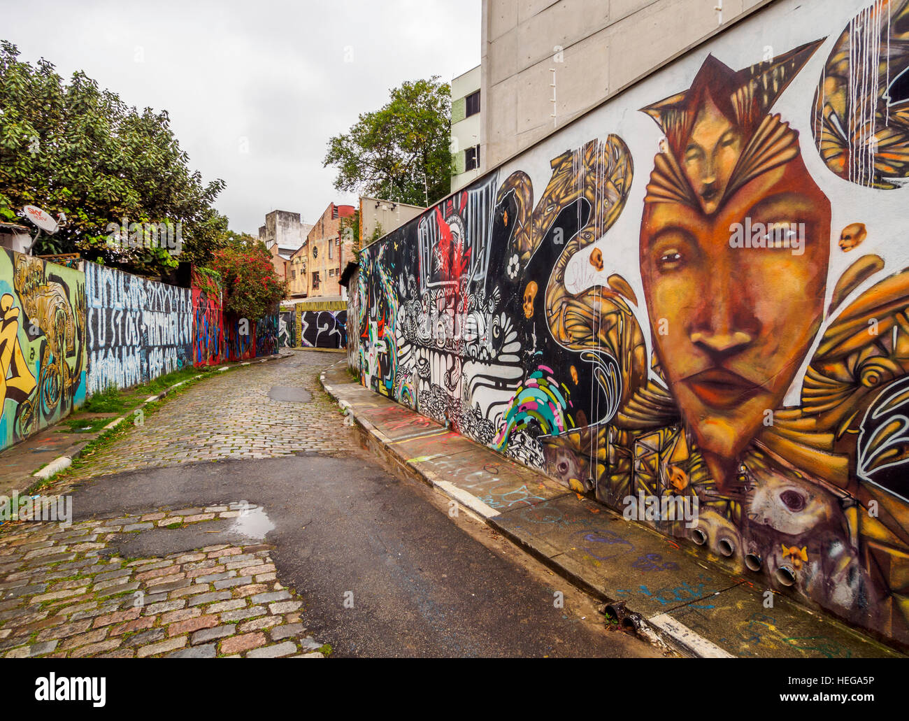 Brazil, State of Sao Paulo, City of Sao Paulo, Vila Madalena, Graffiti in Beco do Batman. Stock Photo