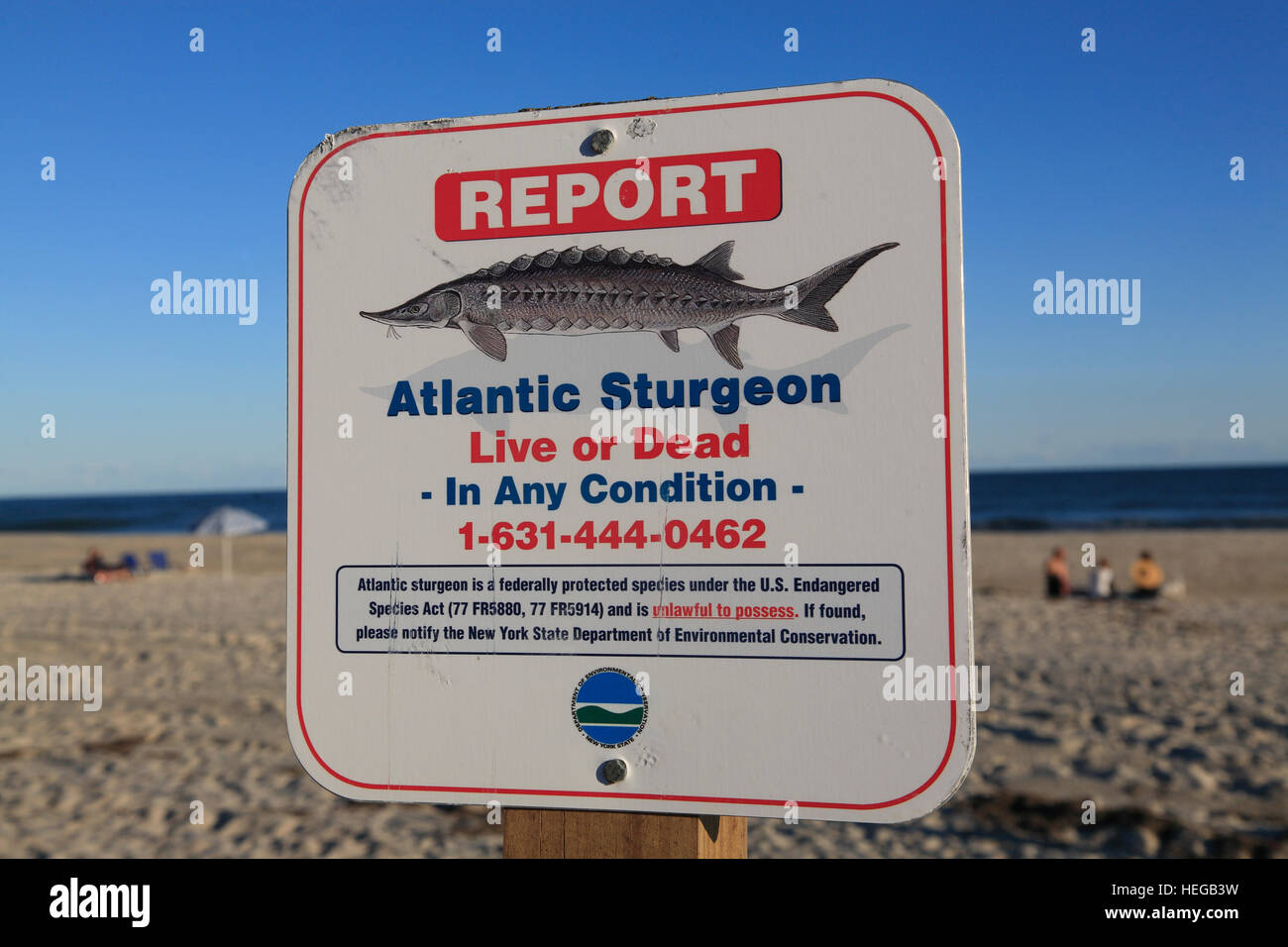 Cherry Grove Beach, Fire Island, Long Island, New York, USA Stock Photo