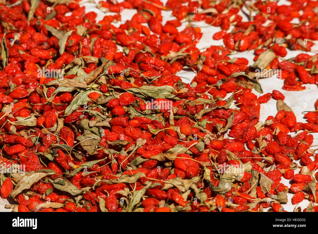 Goji berries drying in the sun, Xinjiang province, China Stock Photo