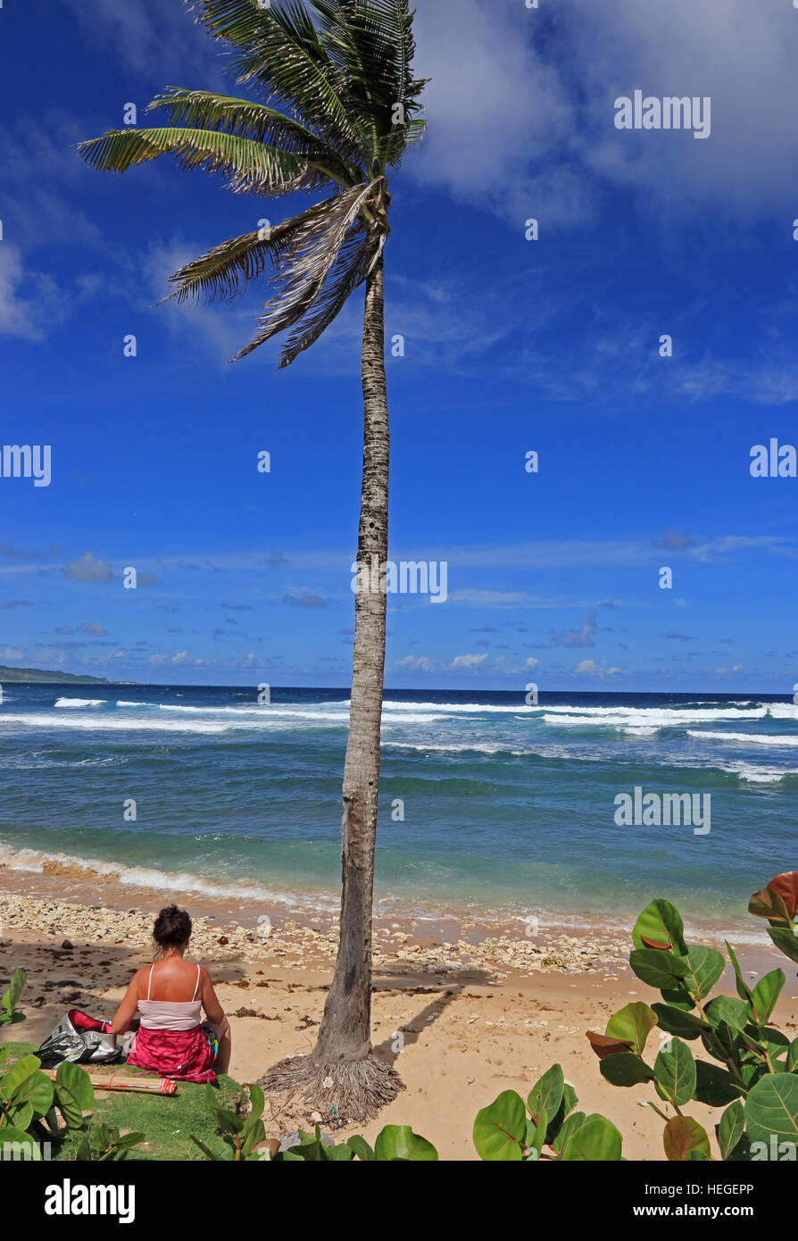 Woman sat under palm tree on beach, Bathsheba, Barbados Stock Photo