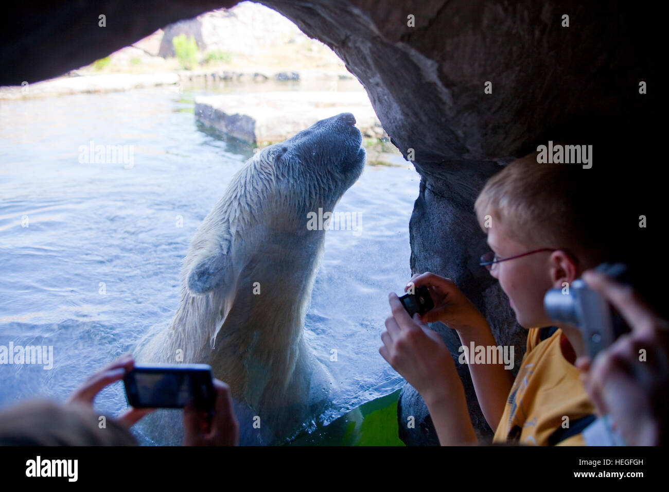 Germany, Ruhr area, Gelsenkirchen, the zoo Zoom Erlebniswelt, children taking pictures of a polar bear. Stock Photo