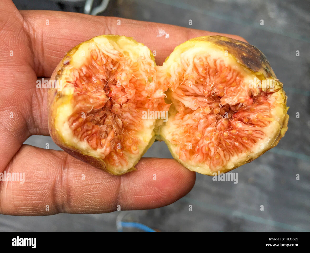 Ripe Figs of Ficus Carica Stock Photo Alamy
