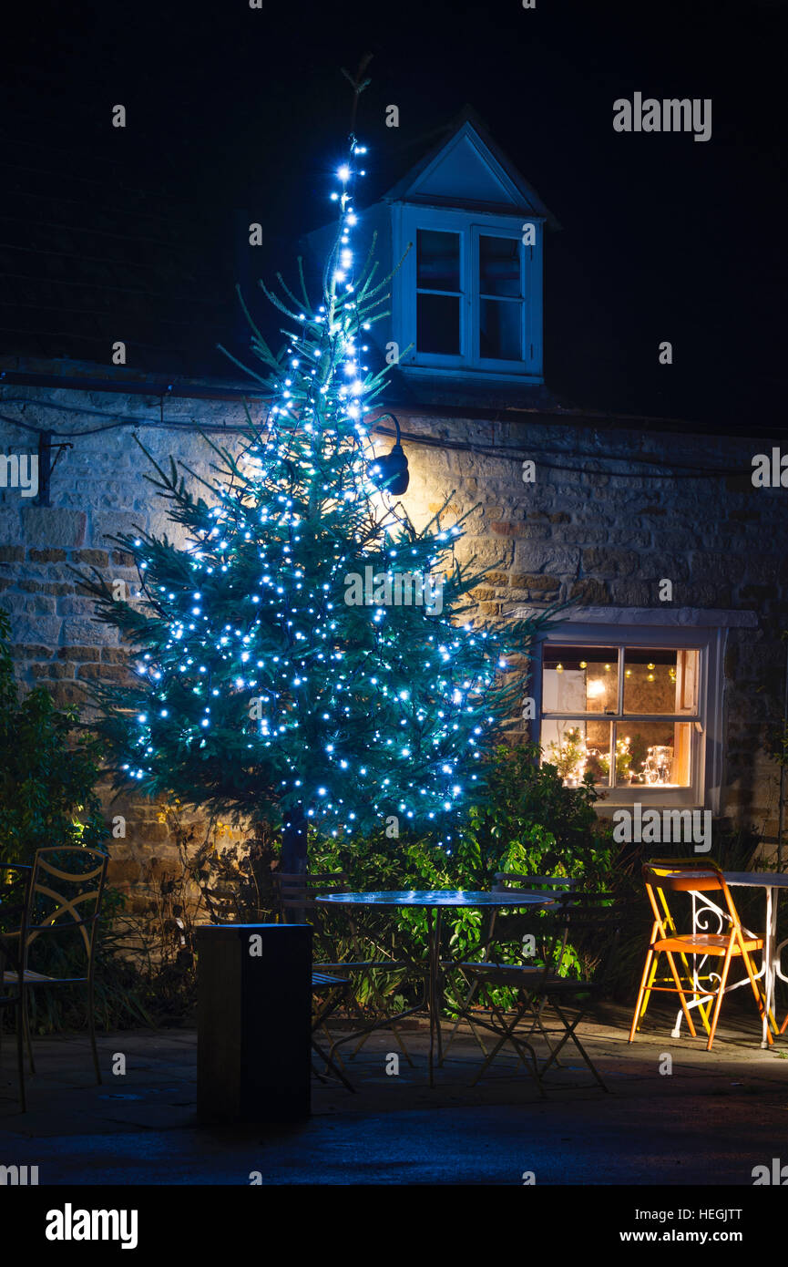 Kings Head Inn Christmas tree and lights. Bledington, Cotswolds, Gloucestershire, Englandseason Stock Photo