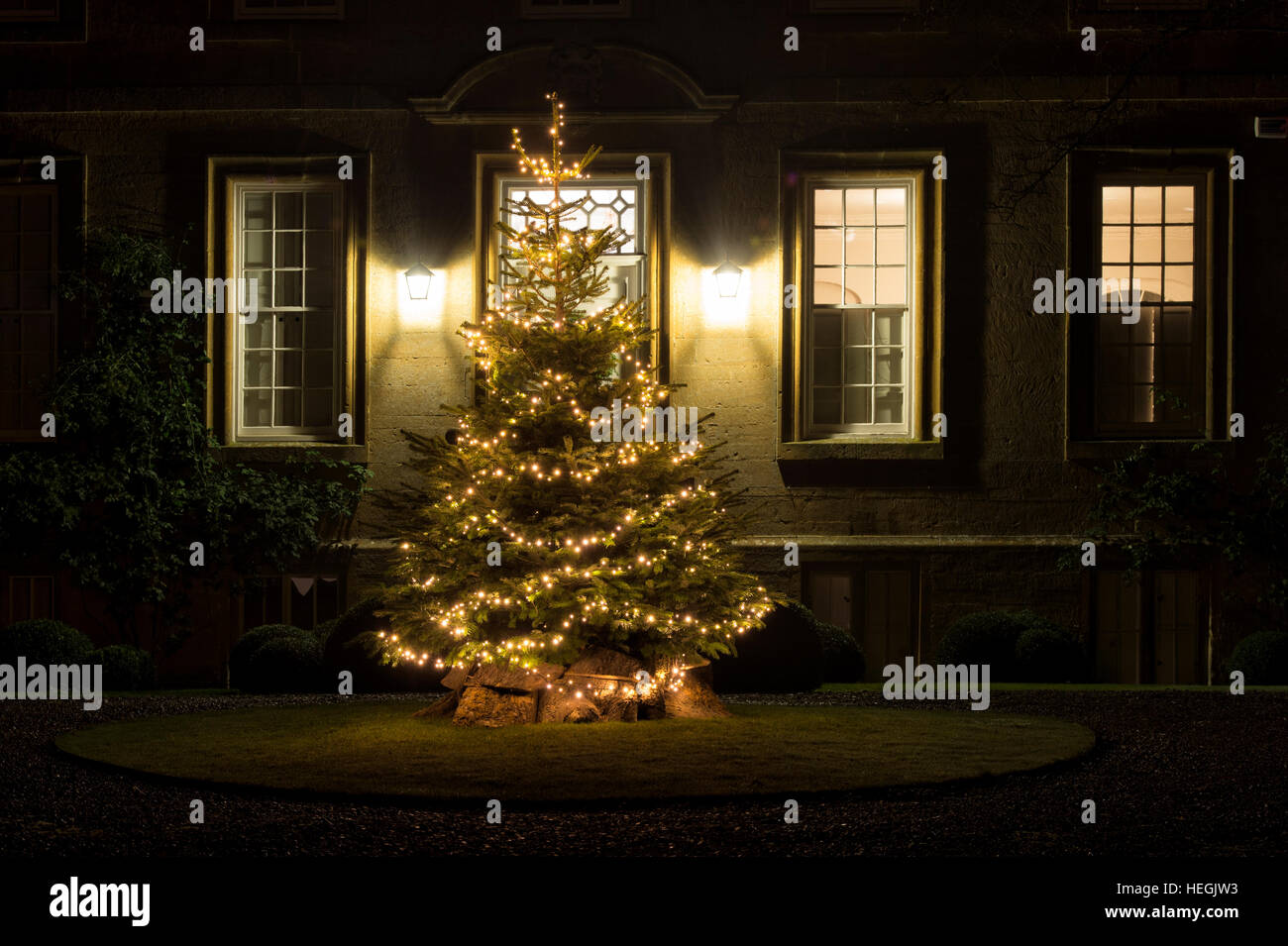 Christmas tree in front of a manor house. Kingham, Oxfordshire, England Stock Photo