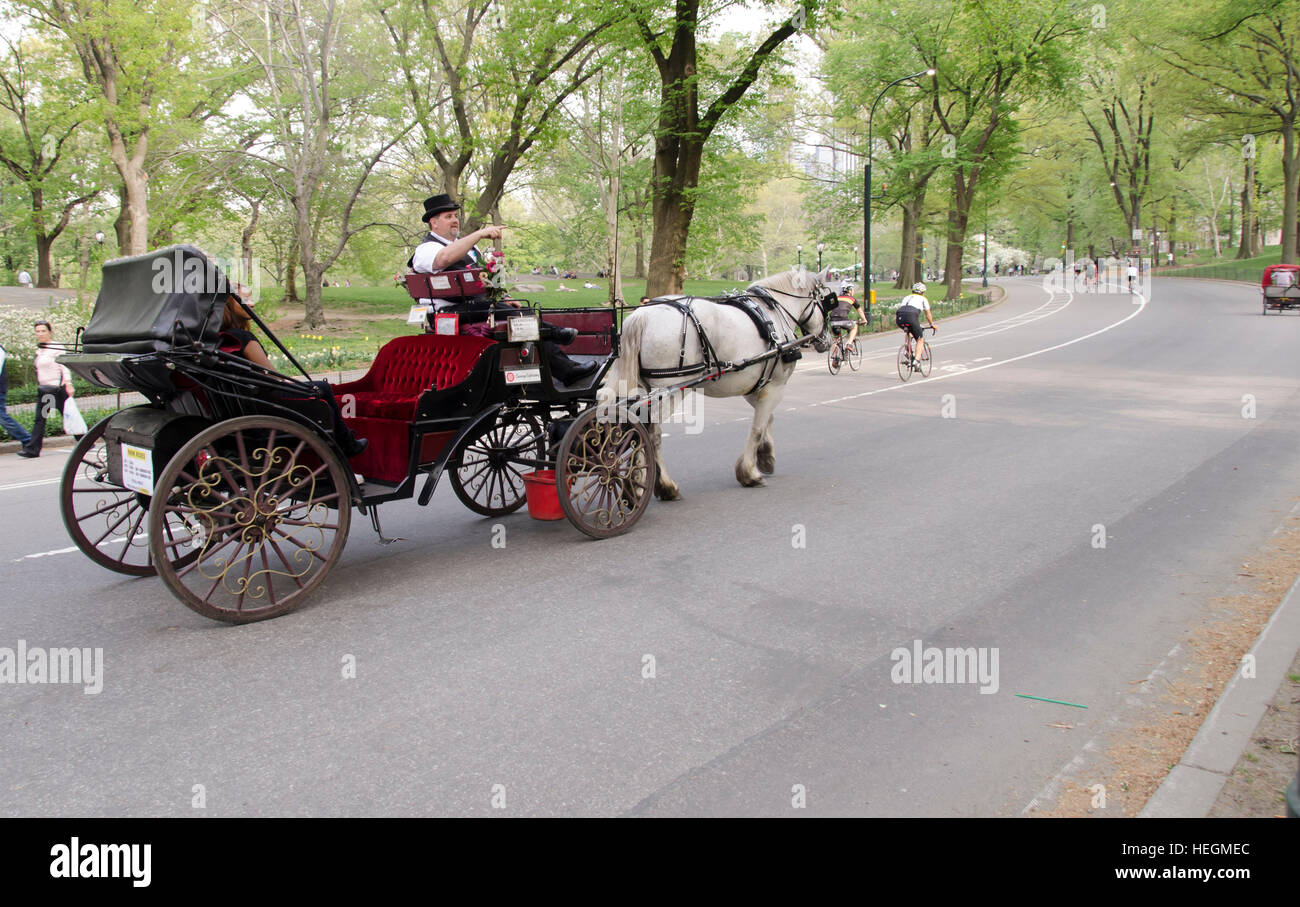 visit to central park by horse-drawn carriage, NYC, USA Stock Photo - Alamy