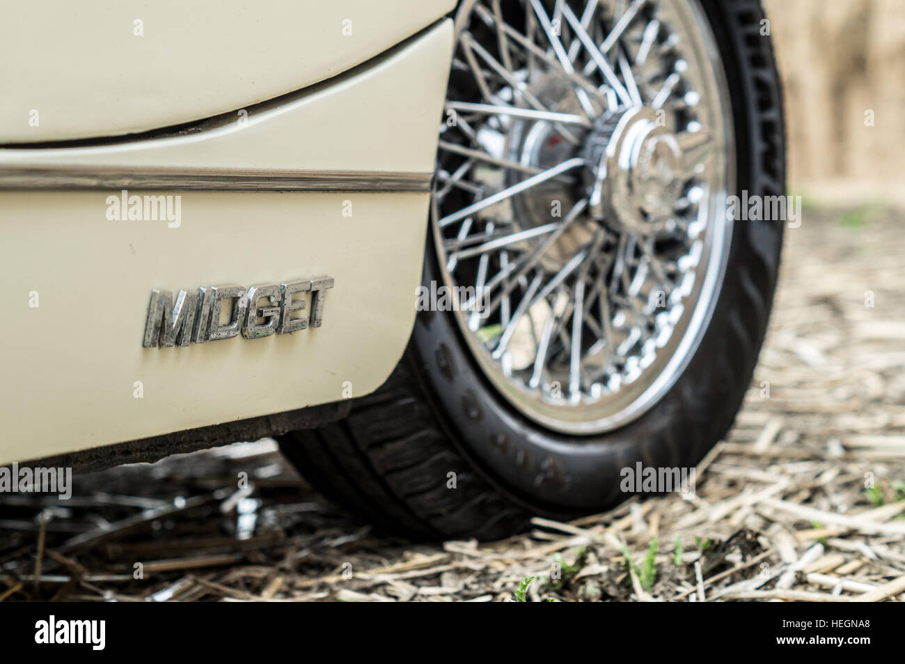MG Midget front wheel and side badge. Stock Photo