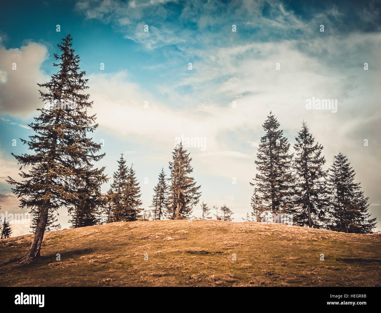 Mountain landscape with forest and blue sky Stock Photo - Alamy