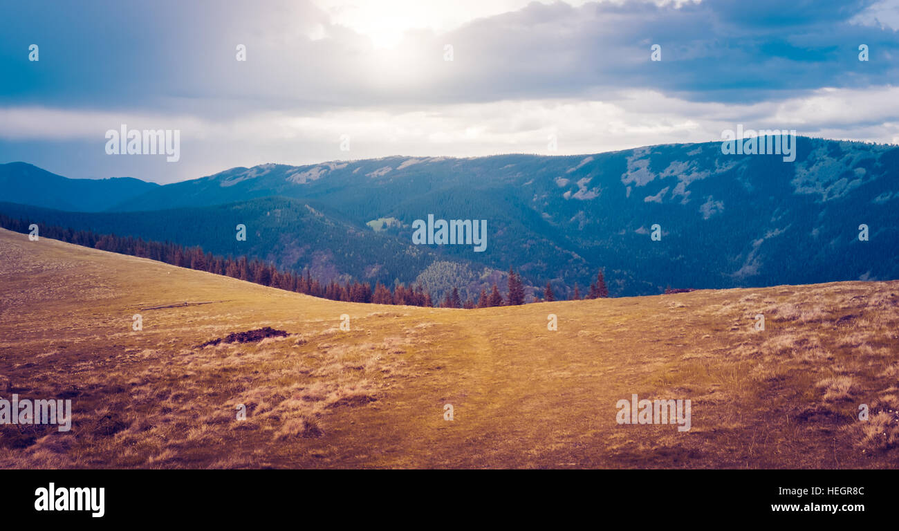 Mountain landscape with forest and blue sky Stock Photo - Alamy