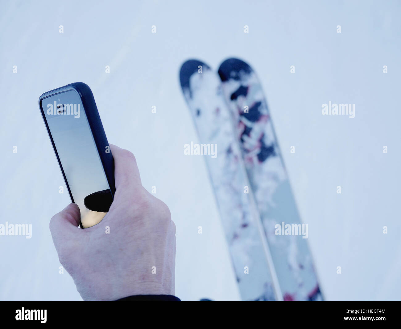 Man on skis checking his mobile Stock Photo Alamy