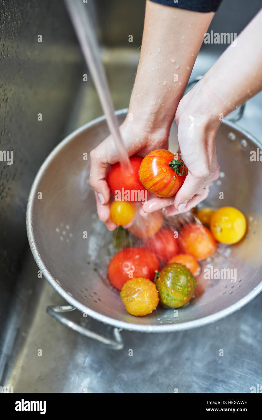 washing heritage tomatoes Stock Photo