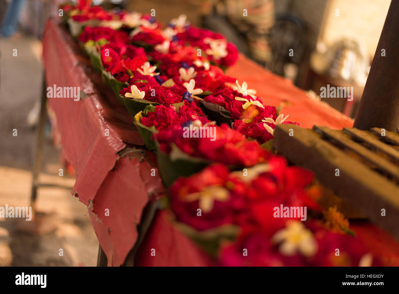 Rose, Flowers, Basket of Flowers, Flower Basket, Flower, Roses, Cute Flowers, Red Flowers Stock Photo