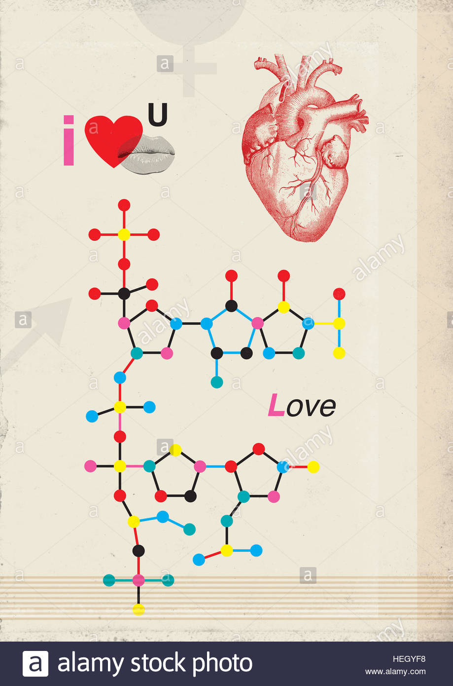 Chemical Attraction