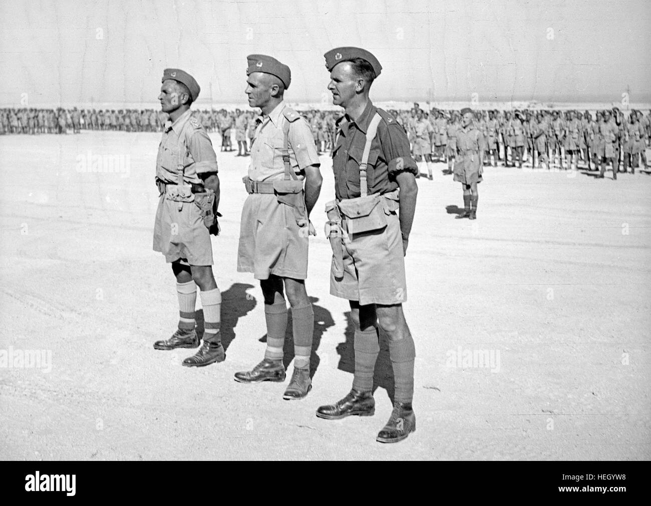 CHARLES UPHAM (       ) VC & Bar at an awards ceremony for three New Zealand soldiers at Baggush 35 miles east of Mersa Matruh in the Western Desert, 4 November 1941. From left: Lt Charles Upham; Lt Col Howard Kippenberger; Major Raymond Lynch.  Photo: New Zealand Official Stock Photo