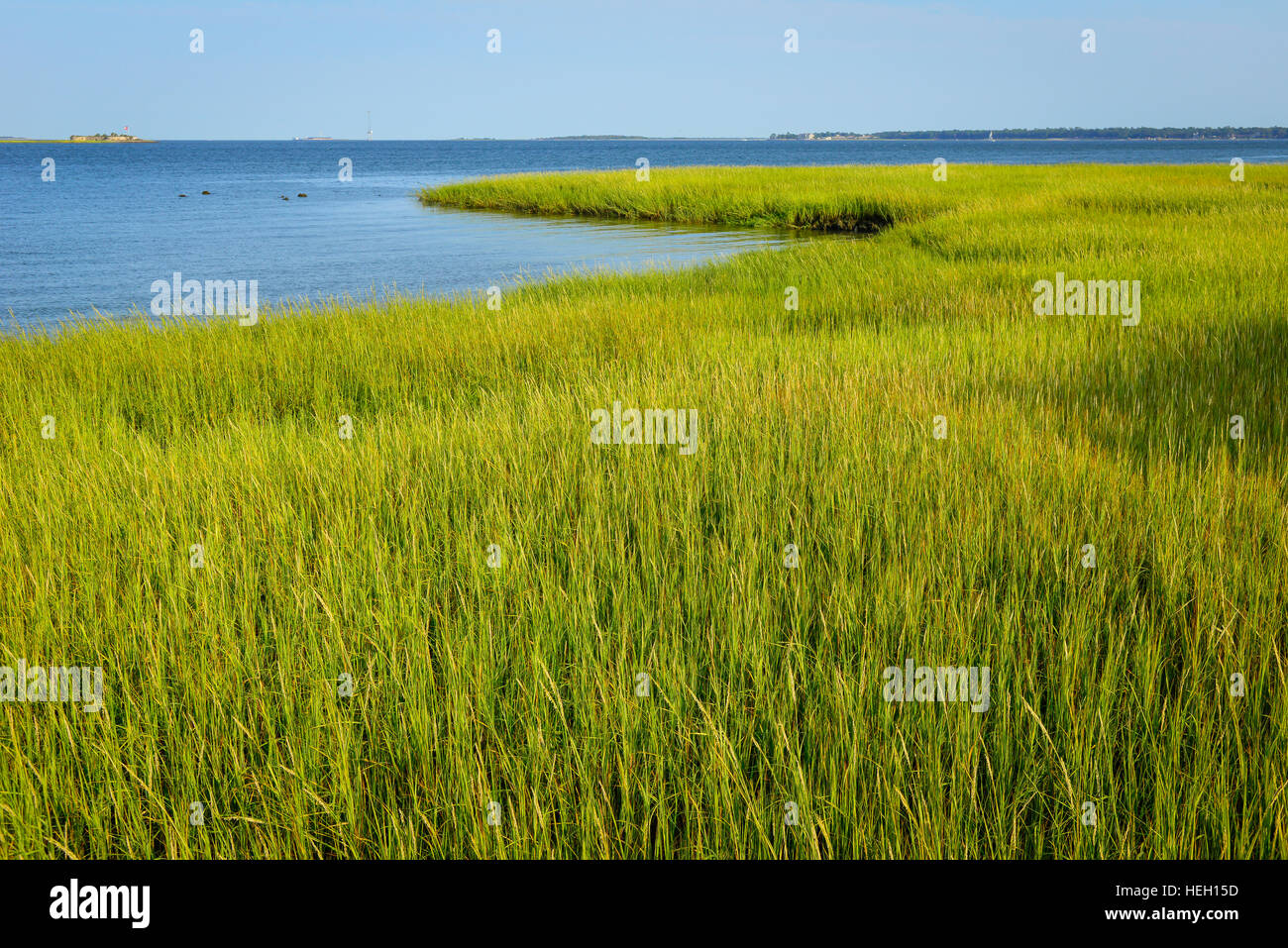 Serene landscape of Low country marshes of Spartina Alterniflora cord grass along Cooper River's edge in Charleston, SC, with Fort Sumter in distance. Stock Photo