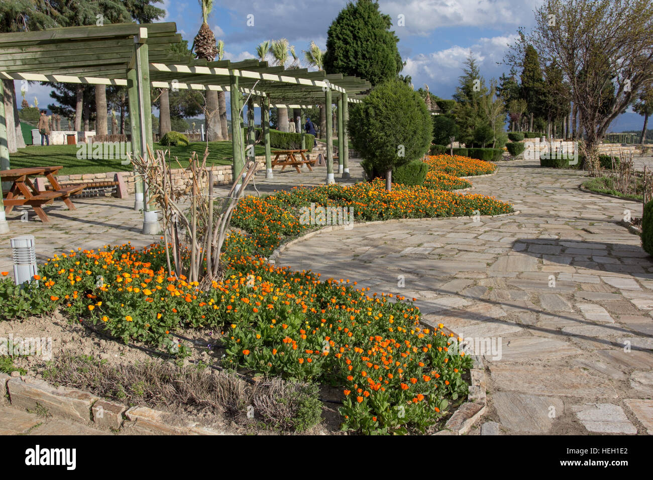 A garden in spring Stock Photo - Alamy