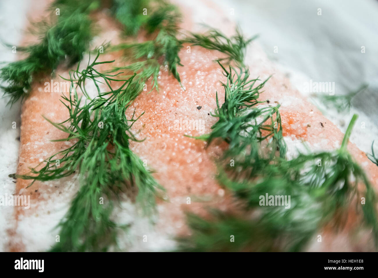 Salmon covered in sugar and salt mixture. So the salmon can be cured to gravlax. Stock Photo