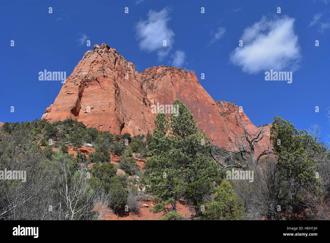 View from the Taylor Creek Trail, Kolob Canyons, Zion National Park Stock Photo