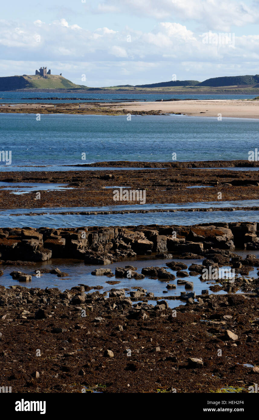 View along Newton Haven to Dunstanburgh Castle, Northumberland, England, UK Stock Photo