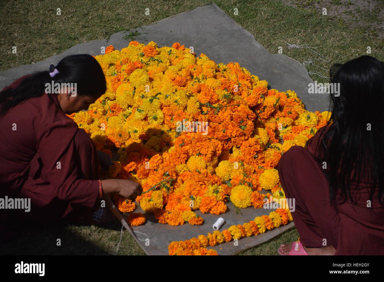 Traditional Nepalese Women Making Garlands from Marigolds for the